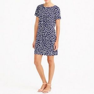 J. Crew Polka Dot Dress